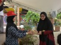 Tn DSC 7831